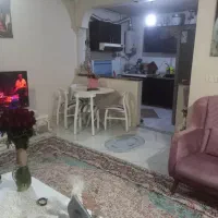 وکالتی-نقلی-در-شاخه
