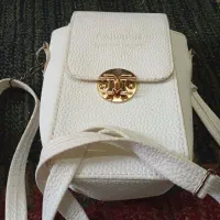 کیف مجلسی