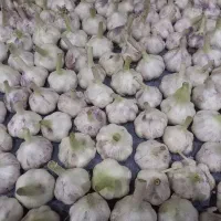 سیر اعلای خوانسار