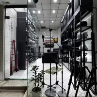صدا برداری و کرایه باند فلش خور rcf fbt دایناکورد