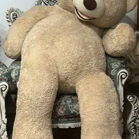 خرس دو متری در حد نو