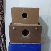 لوازم پرنده