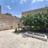 کلنگی .با پروانه