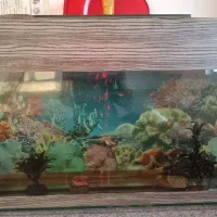 آکواریوم بزرگ سالم