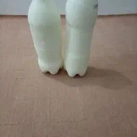 دوغ وقتق تازه گوسفندی