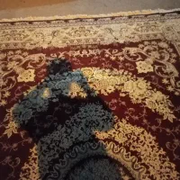 قالی|فرش|نجف‌آباد, یزدانشهر|دیوار