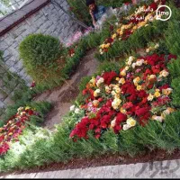 خدمات تخصصی باغبانی و فضای سبز اعزام نیرو در تهران