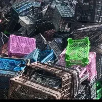 استخدام راننده جمع آوری سبد