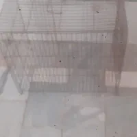 قفس‌پرنده