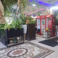 نیروی ساده