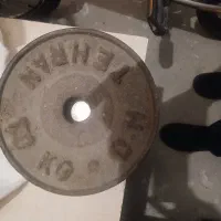 ورنه هالتر