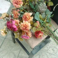 تعدادی گل جهت منازل و.‌..