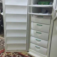یخچال دوقلو پارس