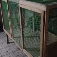 قفس پرنده