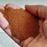 ۲۴ کیلو خاکشیر مرغوب