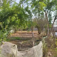 زمین-مسکونی-250-متر-روستای