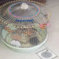 سره