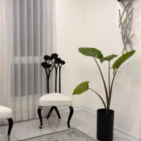 درختچه بابا ادم