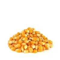 مقداری ذرت برزیلی درجه یک زیر قیمت