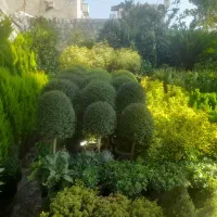 خدمات باغبانی وگلکاری در تهران وکرج