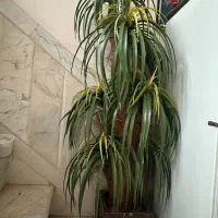 گل مصنوعی