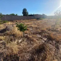باغچه ،زمین۵۰۰متری دور دیوارکلاکوب