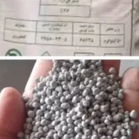 کودکشاورزی