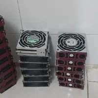 فن ماینر