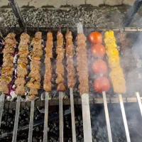 سالندار آقا