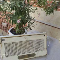 هود آشپزخانه