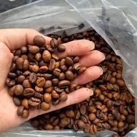 قهوه روبستا ۷۰ ۳۰. روبستا ۱۰۰کیفیت بالا