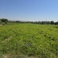زمین زراعی بحر آسفالت در مزرعه خرمنلو