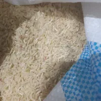 برنج فجر ممسنی