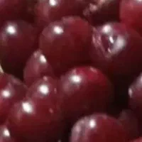 آلبالو رسیده وشیرین