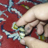 مهره کهنه