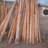چوب ساختمانی الرام