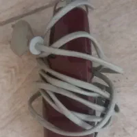 کفتر