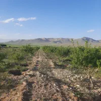 فروش-باغ