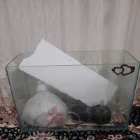 آکواریوم وپمپ سالم