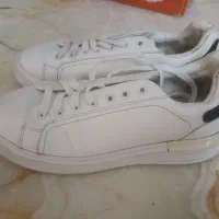 کتونی اسپرت
