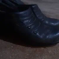چند جفت کفش سایز ۴۰ و۴۱