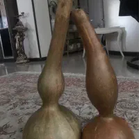 بذر کدو قلیانی