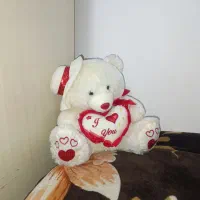 عروسک خرسی ولنتاین شاسقین نو