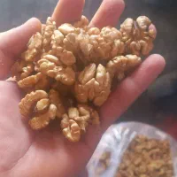 مغز گردو فسنجونی اعلا