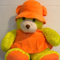 خرس شاسخین
