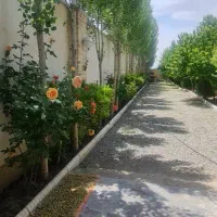147متر-ورودی-شهرداری-فاز-1مهرشهر