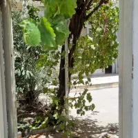 فروش-خانه-ی-ویلایی
