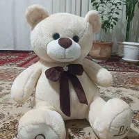 خرس ۴۵ سانتی