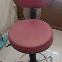 دو عدد صندلی چرخدار