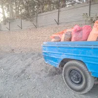 کود مرغی